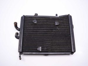 Radiador    Aprilia Sportcity 250 2008 M3A0730