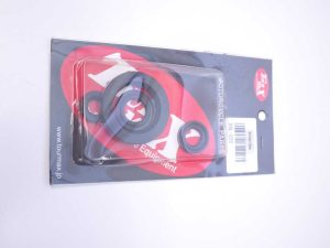 Kit retenes    Yamaha Virago 535 1996 M3A0768 OSL-223