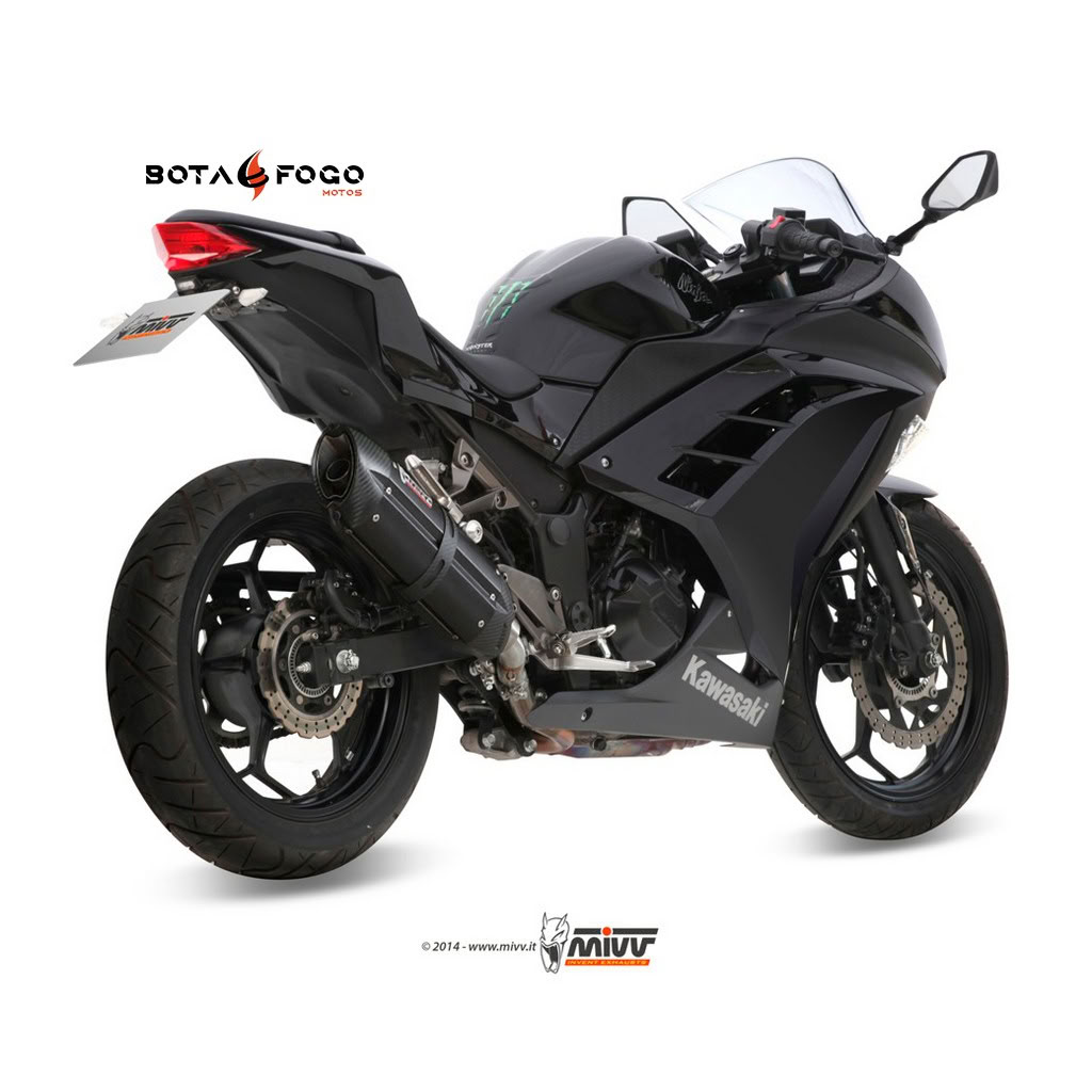 Kawasaki_Ninja300_13-_K038L9_02_PPM